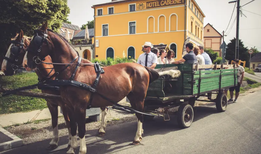 Hotel Cabernet Vill�nyk�vesd - Szilveszter