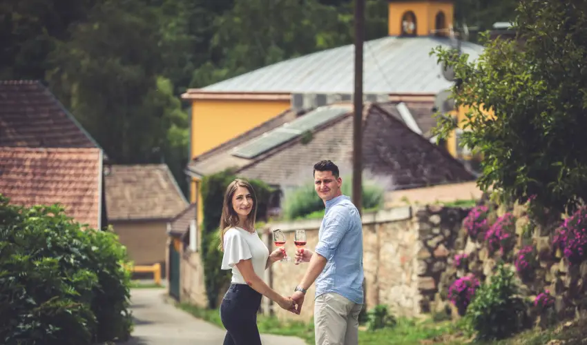 Hotel Cabernet Vill�nyk�vesd - Szilveszter