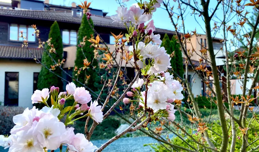 Caramell Premium Resort Bük, Bükfürdő - Szilveszter - teljes előrefizetéssel (min. 3 éj)