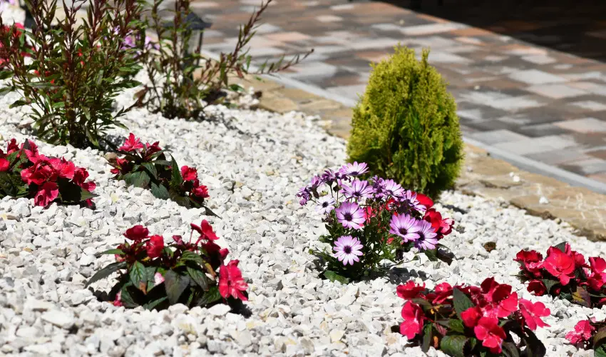 Hotel Forr�s Zalakaros Zalakaros - Szilveszter