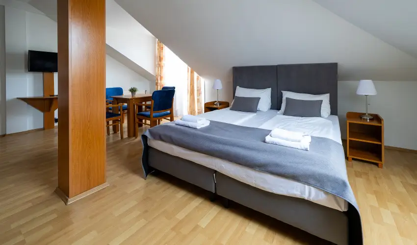 Hotel Forr�s Zalakaros Zalakaros - Szilveszter