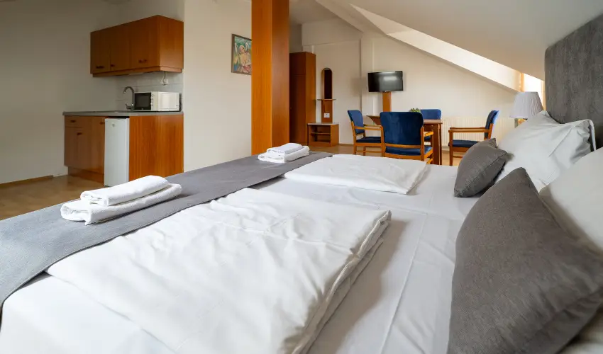 Hotel Forr�s Zalakaros Zalakaros - Szilveszter