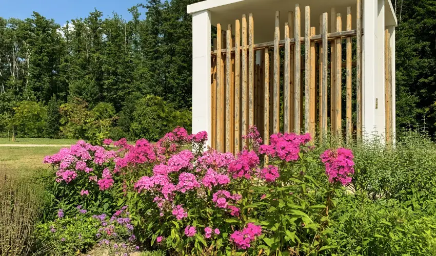 Hunguest Hotel Freya Zalakaros - Szilveszter (min. 3 �j)