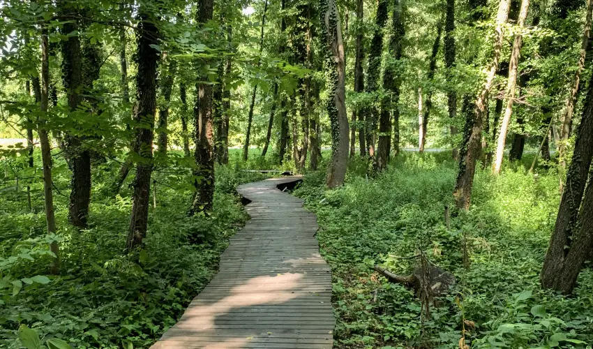 Hunguest Hotel Freya Zalakaros - Szilveszter (min. 3 �j)