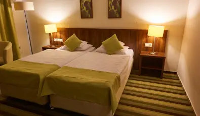 Hotel Ginkgo H�dmez�v�s�rhely