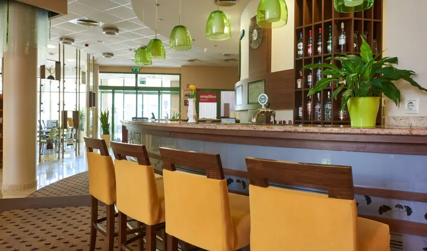 Hotel Ginkgo H�dmez�v�s�rhely - Szilveszter 