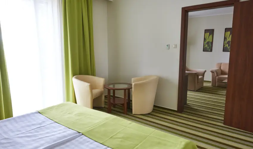 Hotel Ginkgo H�dmez�v�s�rhely - Szilveszter 