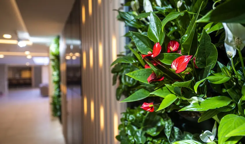 Greenfield Hotel Golf & Spa Bük, Bükfürdő - Szilveszter (min. 3 éj)