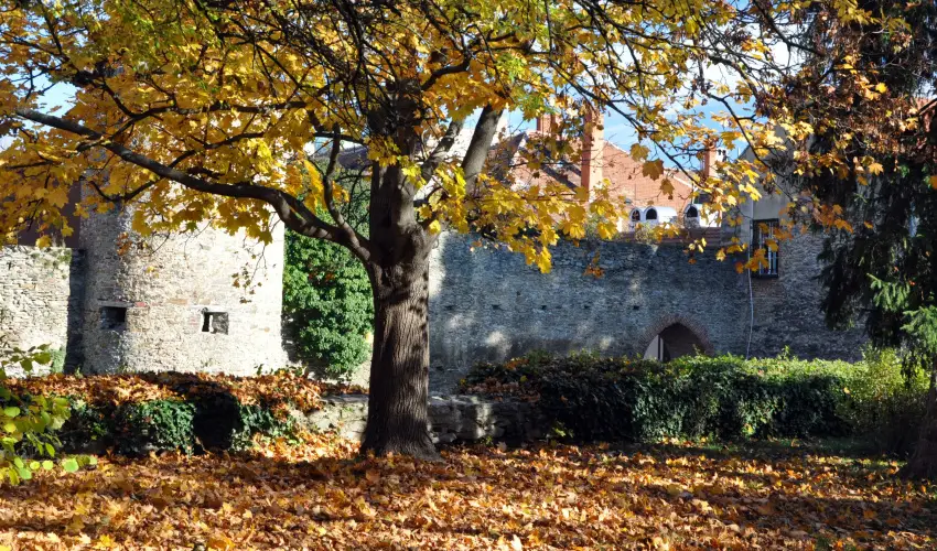 Hotel rottk Kszeg - Szilveszteri kavalkd (min. 2 j)