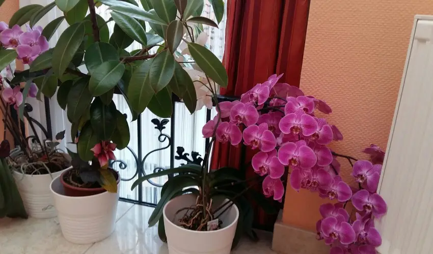 Hotel Isabell Gyr - Szilveszter 