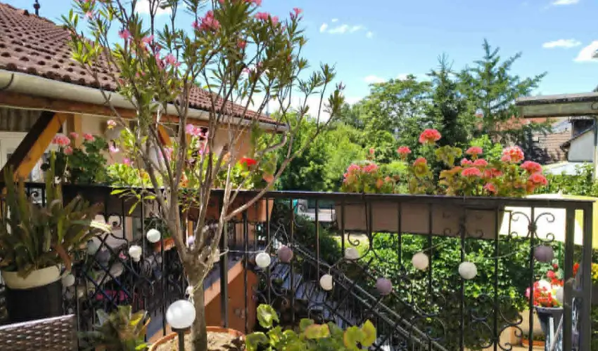 Hotel Isabell Gy�r - Szilveszter 