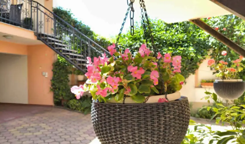 Hotel Isabell Gy�r - Szilveszter 