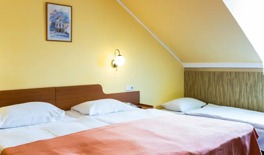 Hotel Korona Wellness, Rendezvny & Borhotel Eger Eger - Szilveszter (min. 3 j)