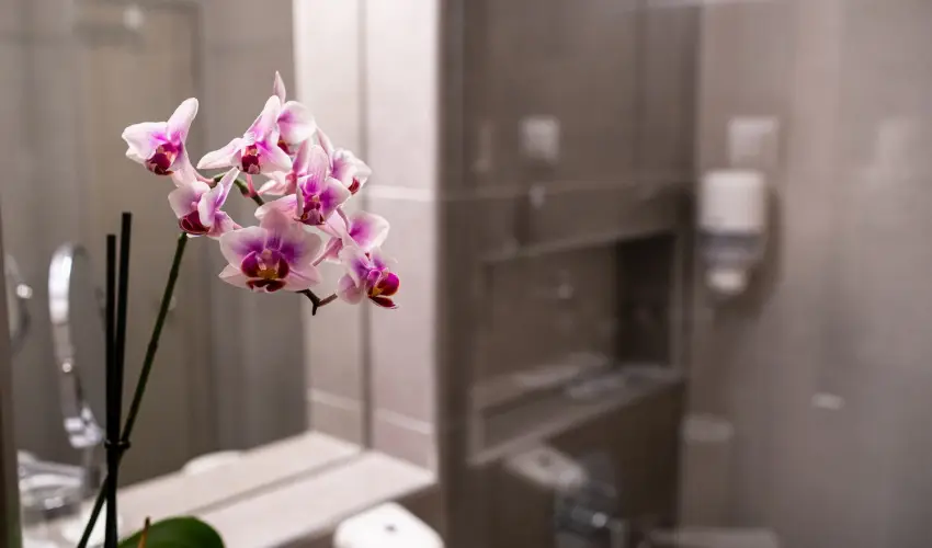 Hotel Margarta Balatonfred - Szilveszter (min. 2 j)