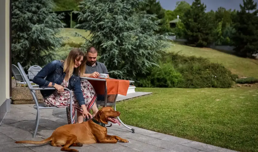 Sndor Hotel Pcs - Szilveszter