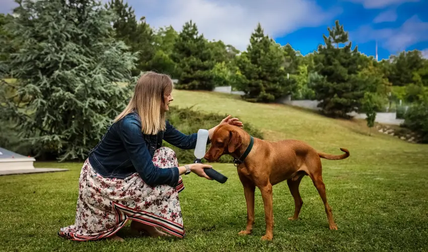 Sndor Hotel Pcs - Szilveszter