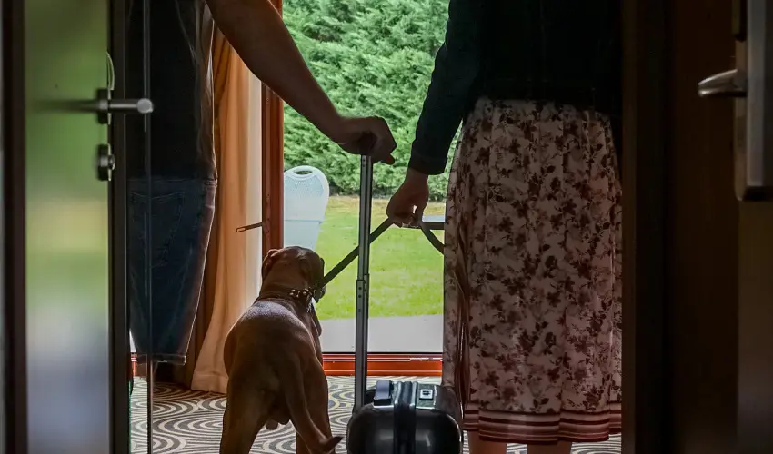 Sndor Hotel Pcs - Szilveszter