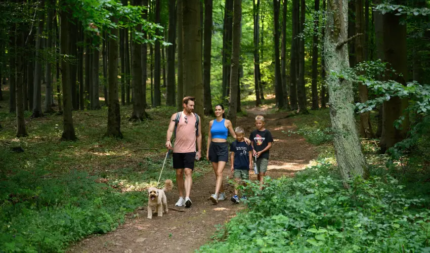 Hotel Nard Mtraszentimre - Szilveszter (min. 2 j)