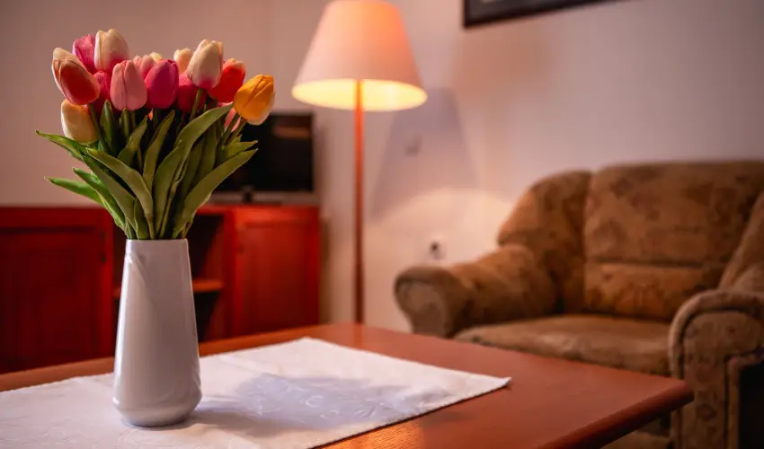 Hotel Ovit Keszthely - Szilveszter a Balaton s Hvz tallkozsnl (min. 3 j)