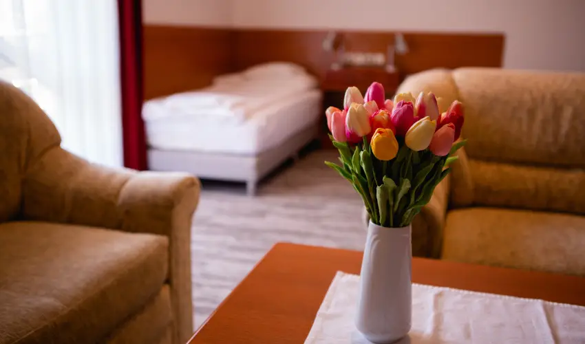 Hotel Ovit Keszthely - Szilveszter a Balaton s Hvz tallkozsnl (min. 3 j)