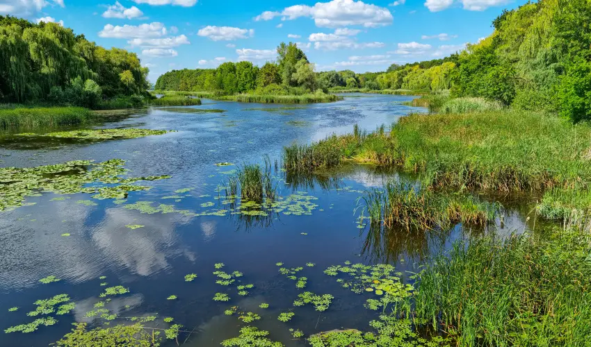 Hotel Ovit Keszthely - Szilveszter a Balaton s Hvz tallkozsnl (min. 3 j)
