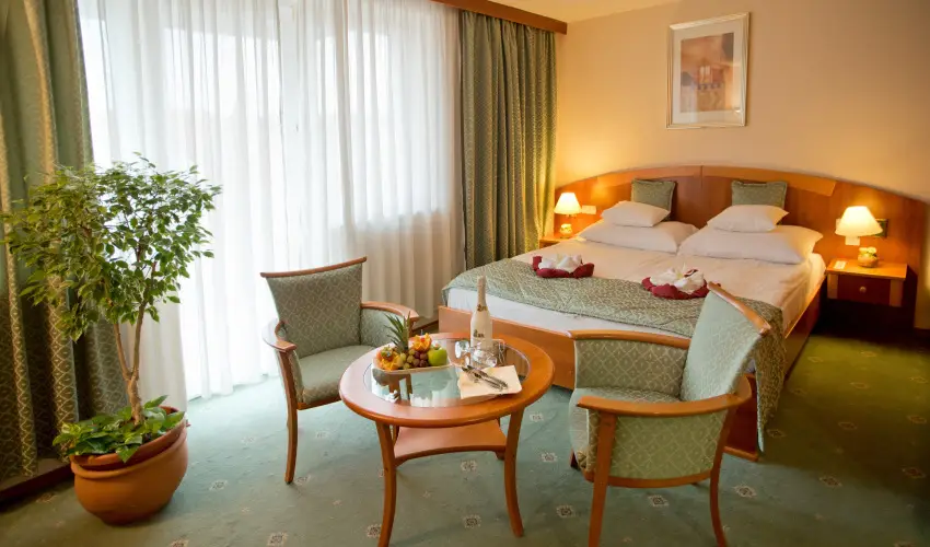 Palace Hotel  Hvz - Szilveszter - teljes elrefizetssel (min. 2 j)