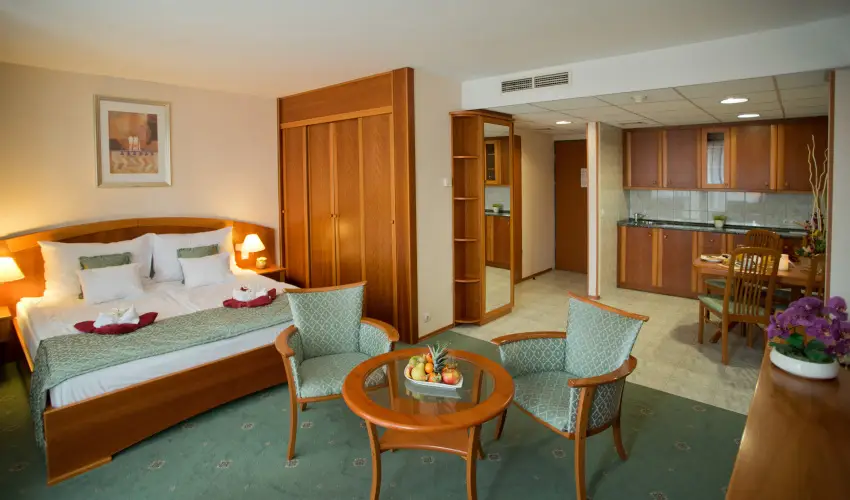 Palace Hotel  Hvz - Szilveszter - teljes elrefizetssel (min. 2 j)