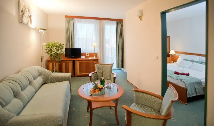 Palace Hotel  Hvz - Szilveszter - teljes elrefizetssel (min. 2 j)