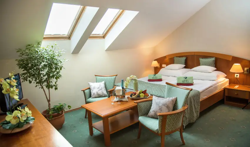 Palace Hotel  Hvz - Szilveszter - teljes elrefizetssel (min. 2 j)