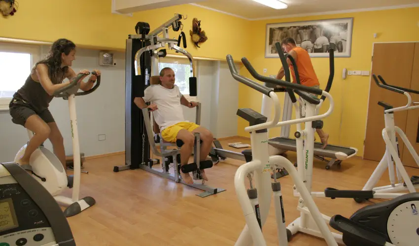 Hotel Panor�ma Balatongy�r�k Balatongy�r�k - Szilveszter