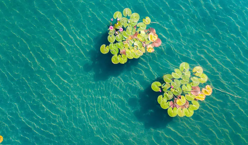 Hunguest Hotel Panorma Hvz - Szilveszter a hvzi Hunguest Panormban (min. 3 j)