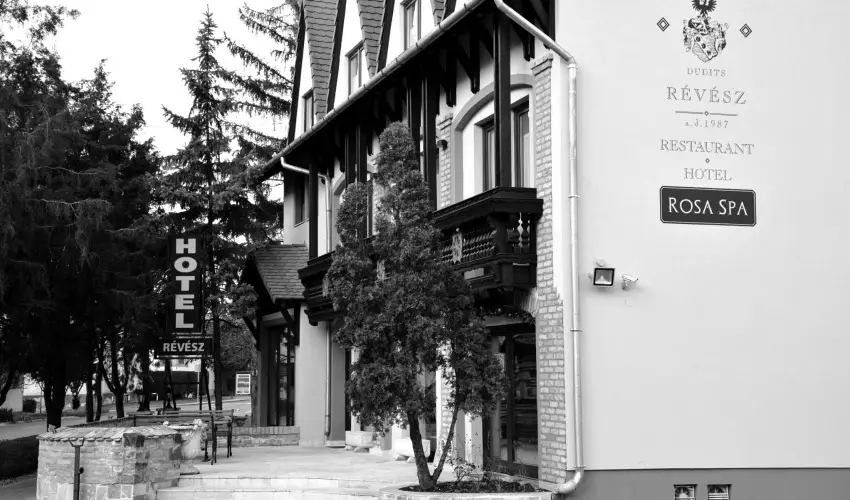 R�v�sz Hotel, �tterem & Rosa Spa Gy�r - Szilveszter 