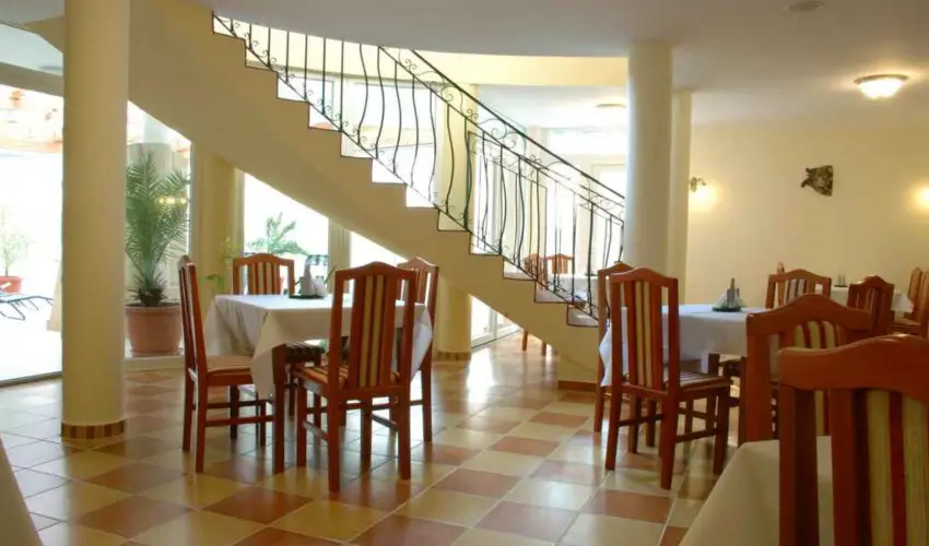 Sante Hvz Hvz - Szilveszter