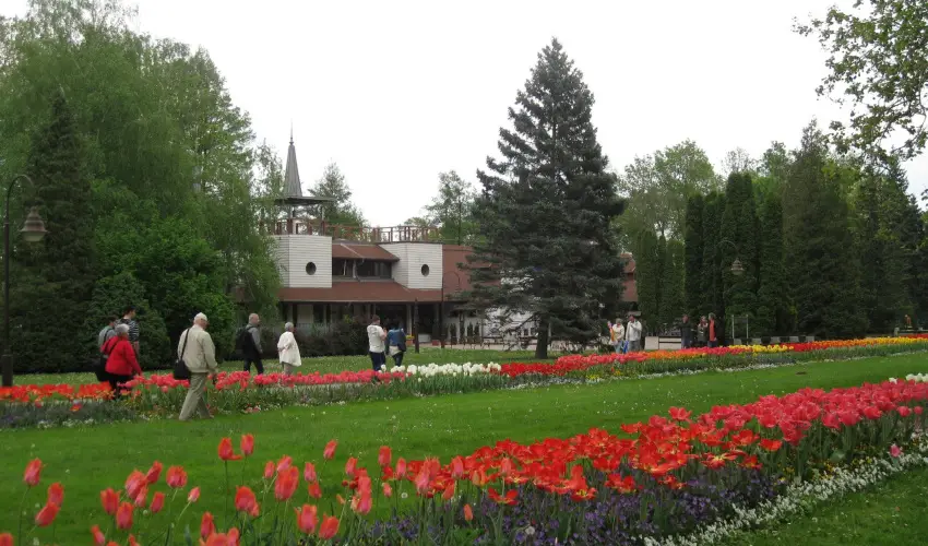 Sante Hvz Hvz - Szilveszter