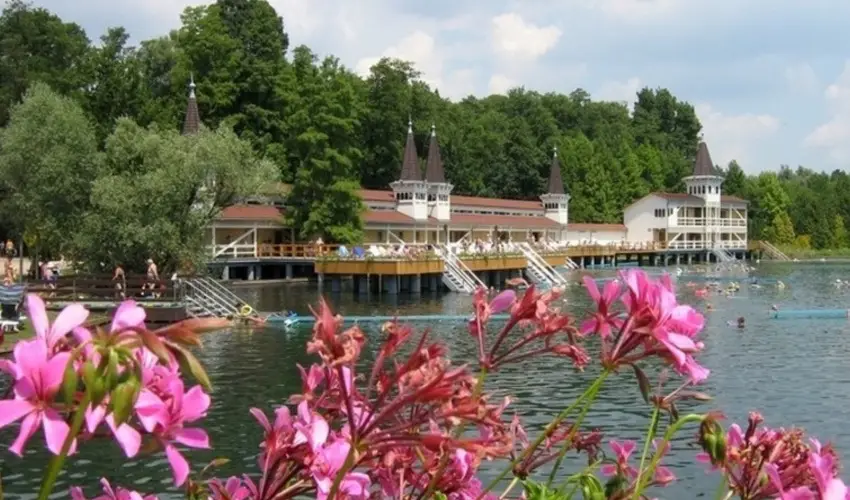 Sante Hvz Hvz - Szilveszter