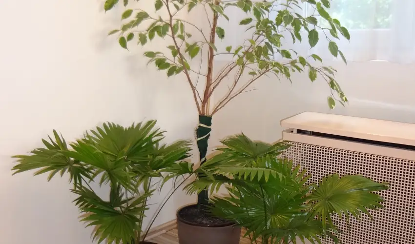 Hotel Touring Nagykanizsa - Szilveszter