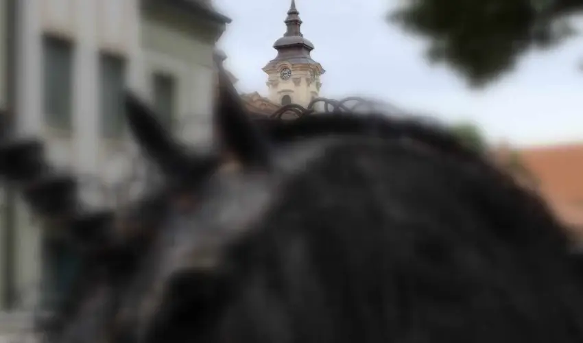 Hotel Unicornis Eger - vbcsztat mulatsg Eger szvben (min. 3 j)