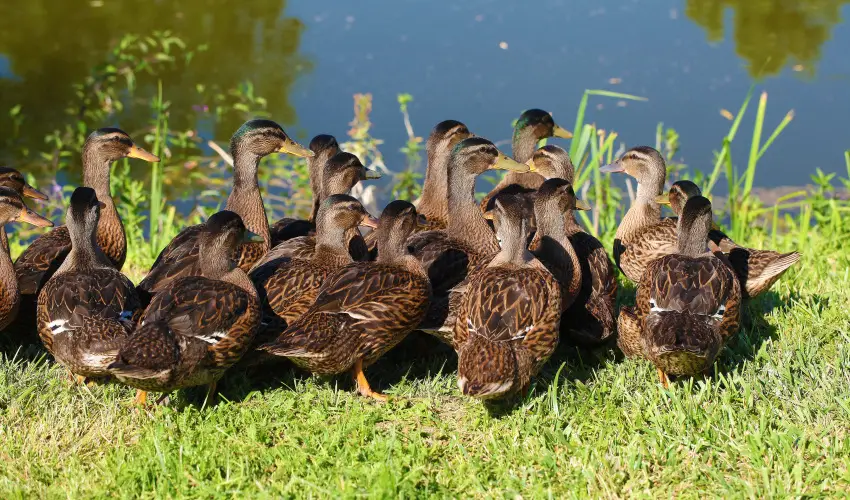 Terml Hotel Vesta Tpiszecs - Szilveszter (min. 3 j)
