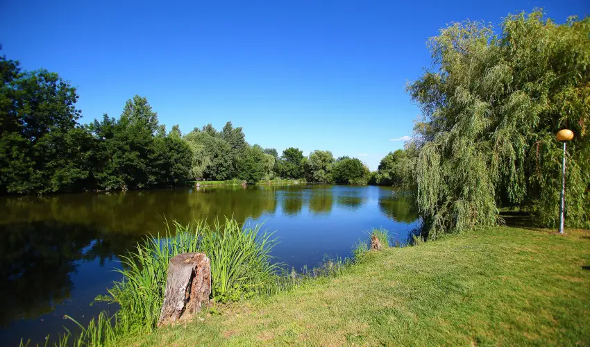 Terml Hotel Vesta Tpiszecs - Szilveszter (min. 3 j)