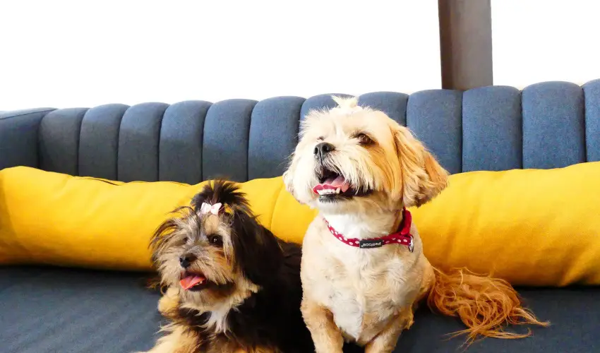 Hotel Yacht Wellness & Business Sifok - Szilveszter (min. 3 j)