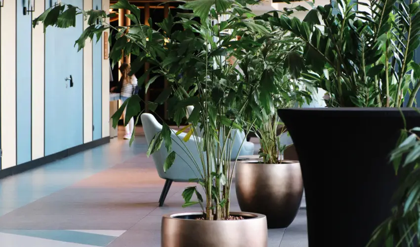 Hunguest Hotel B�l Resort Balatonalm�di - Szilveszter a Hunguest B�L Resortban (min. 3 �j)