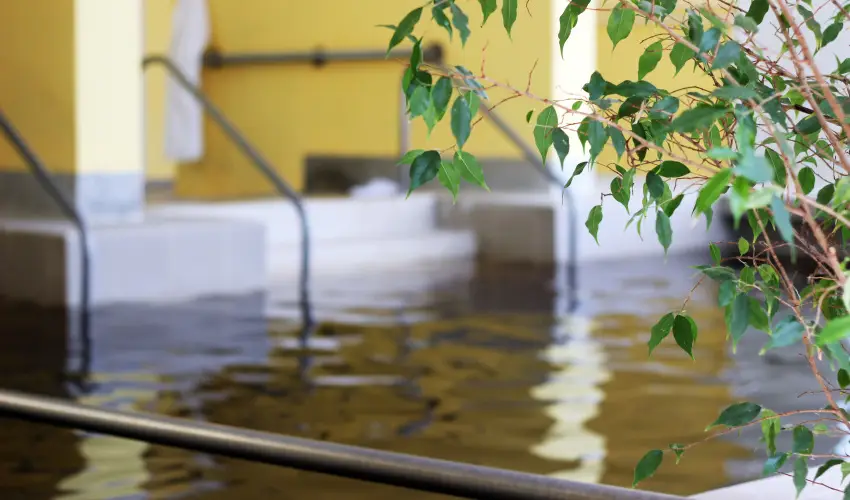 Hotel Hforrs Hajdszoboszl - Szilveszteri mulatsg (min. 3 j)