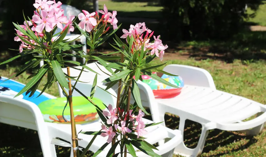 Hotel Hforrs Hajdszoboszl - Szilveszteri mulatsg (min. 3 j)