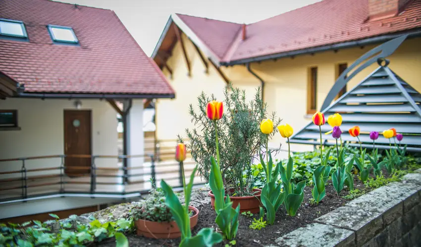 Imola Udvarhz Eger - Szilveszter (min. 2 j)