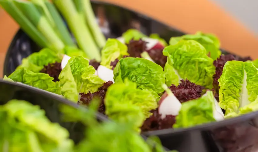 Impulso Fashion Hotel Budapest - Szilveszter (min. 3 j)