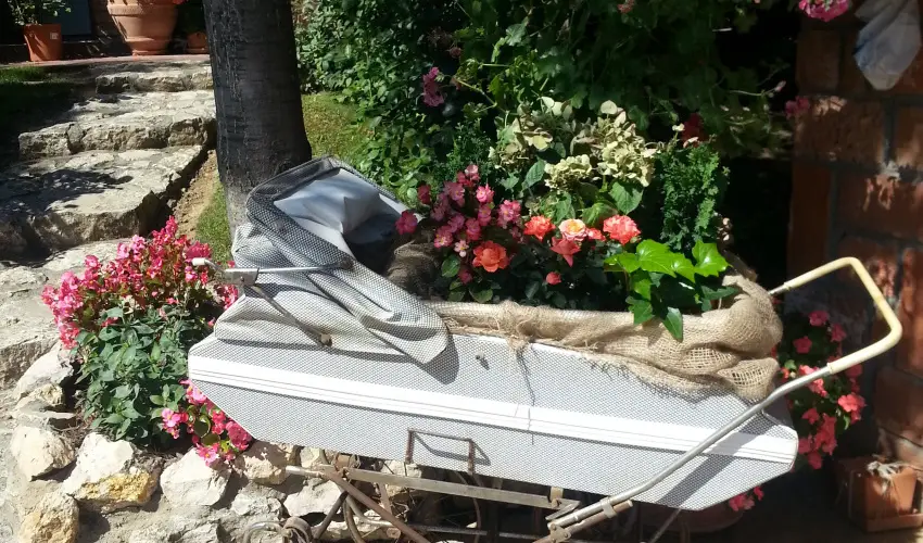 Jo Fogad Wellness Panzi Rbapaty - Szilveszterkor Srvr is rd vr (min. 4 j)