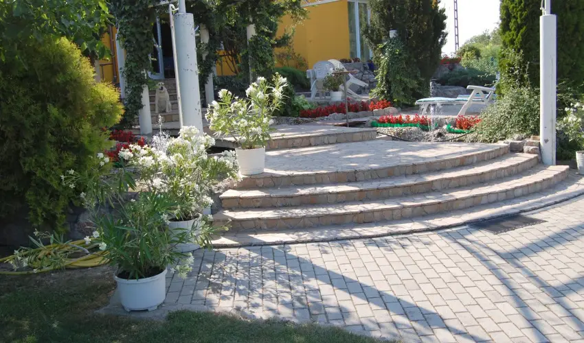 Judit Panzi Tapolca-Gyulakeszi - Szilveszter (min. 2 j)