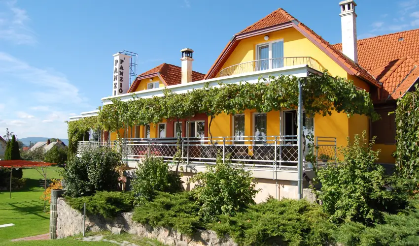 Judit Panzi Tapolca-Gyulakeszi - Szilveszter (min. 2 j)