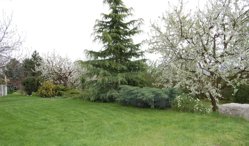 Judit Panzi Tapolca-Gyulakeszi - Szilveszter (min. 2 j)