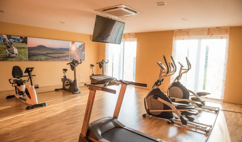 Vulkn Wellness Hotel s Kemping Celldmlk - Szilveszter (min. 2 j)